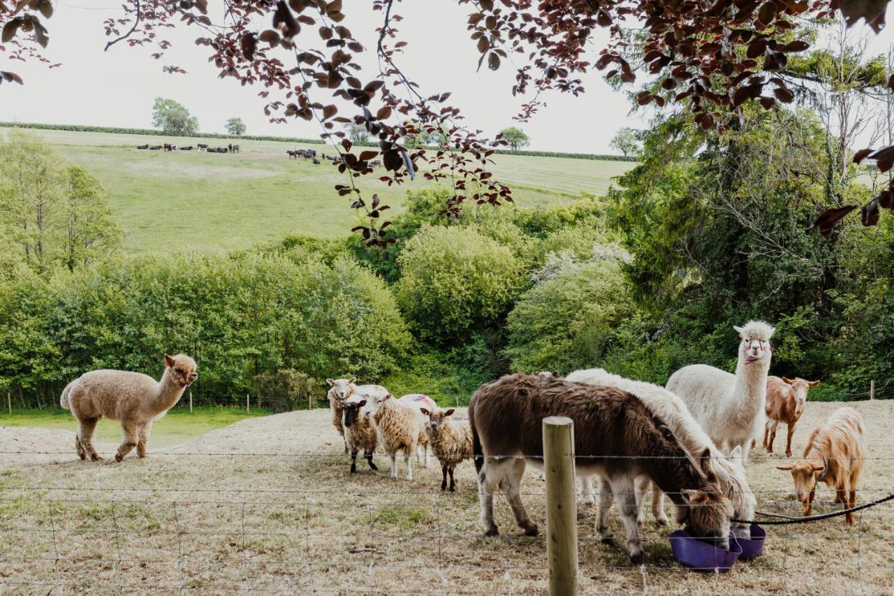 Smeaton Farm Luxury B&B St Mellion Extérieur photo